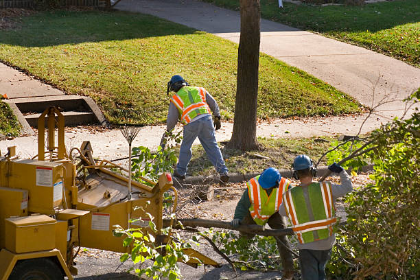 Best Landscape Design and Installation  in Indian Shores, FL